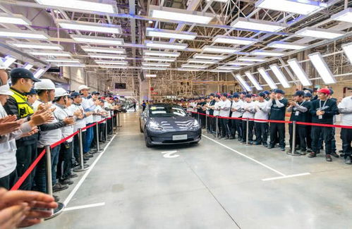 電動防爆車見證浪漫 首批國產特斯拉Model 3交付現(xiàn)場車主求婚